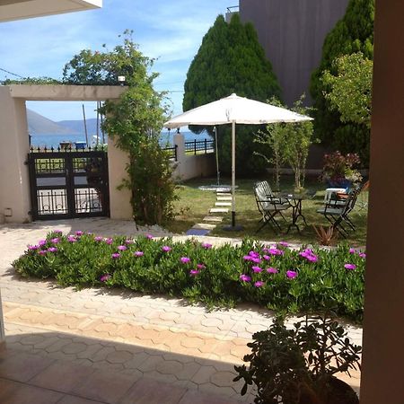 Kirra Sea View Studio מראה חיצוני תמונה