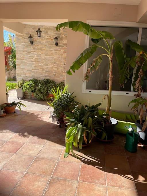 Kirra Sea View Studio מראה חיצוני תמונה