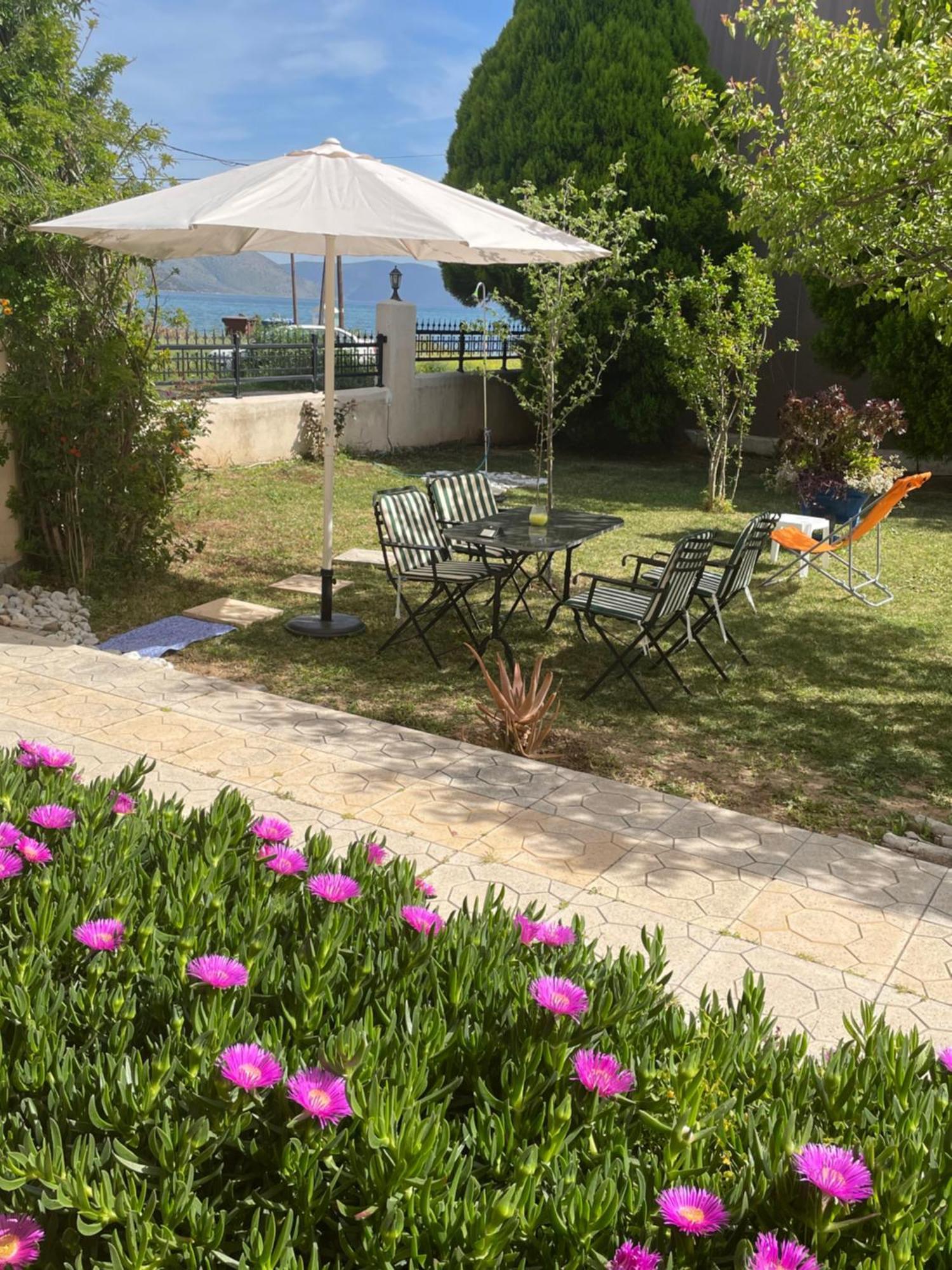 Kirra Sea View Studio מראה חיצוני תמונה